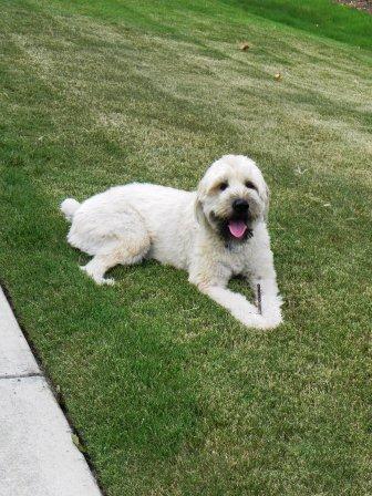 AtlantaWindowInstallationPictures/Aug2011068Cooper.jpg