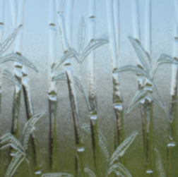 Bamboo glass.jpg