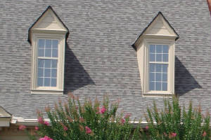 Oriel windows application.jpg